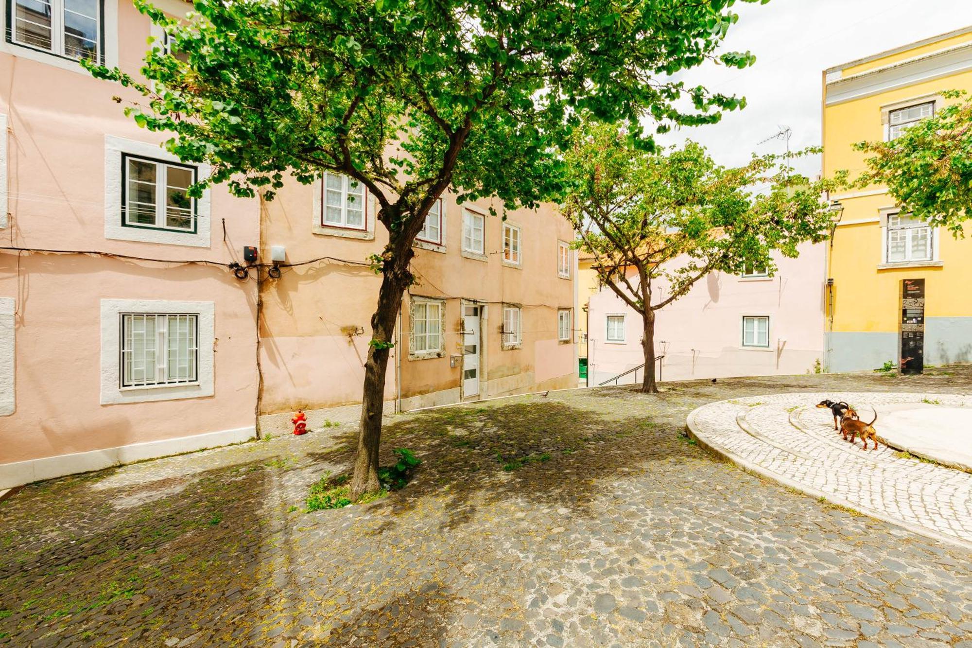 Rent4Rest Lisbon Downtown Tiny Studio Apartments Exteriör bild